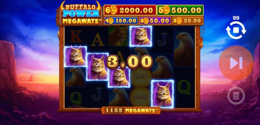 Paylines Buffalo Power Megaways