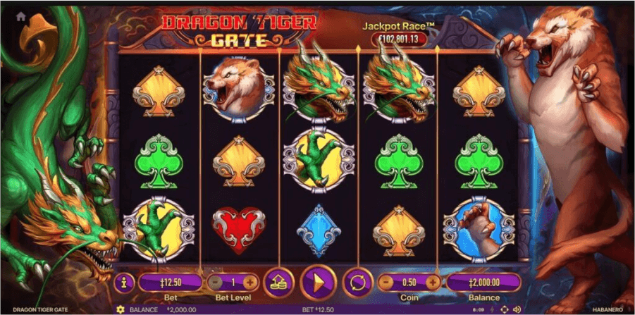 La video slot Dragon Tiger Gate