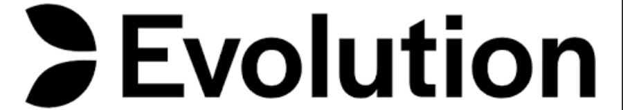 Logo ufficiale di Evolution Gaming