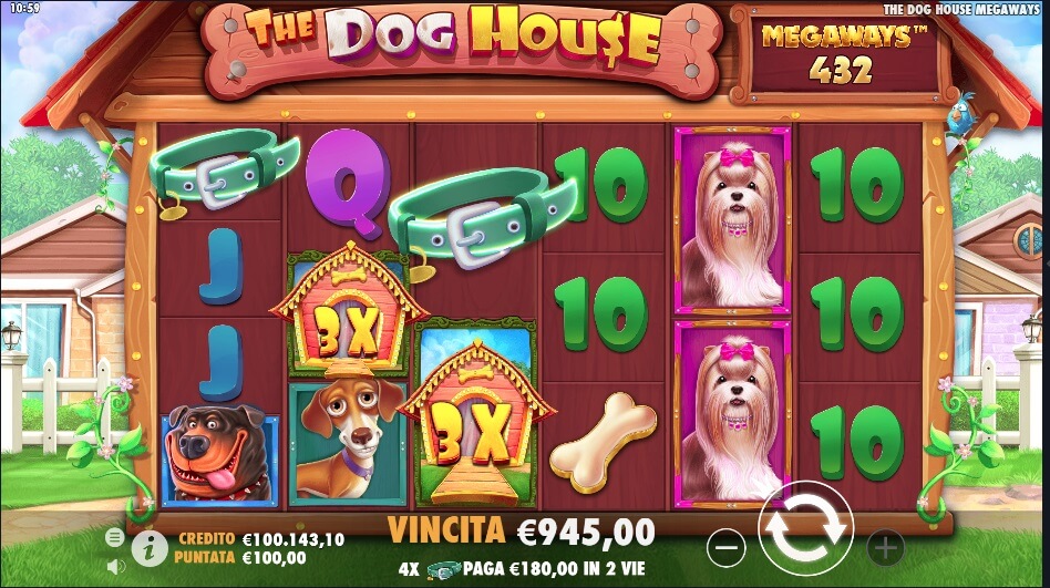 Vincita -  The Dog House Megaways