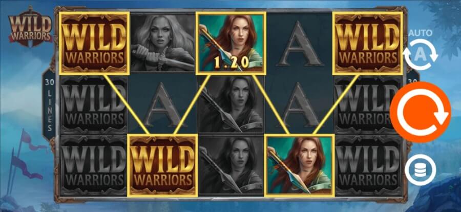 Vincita Wild Warriors